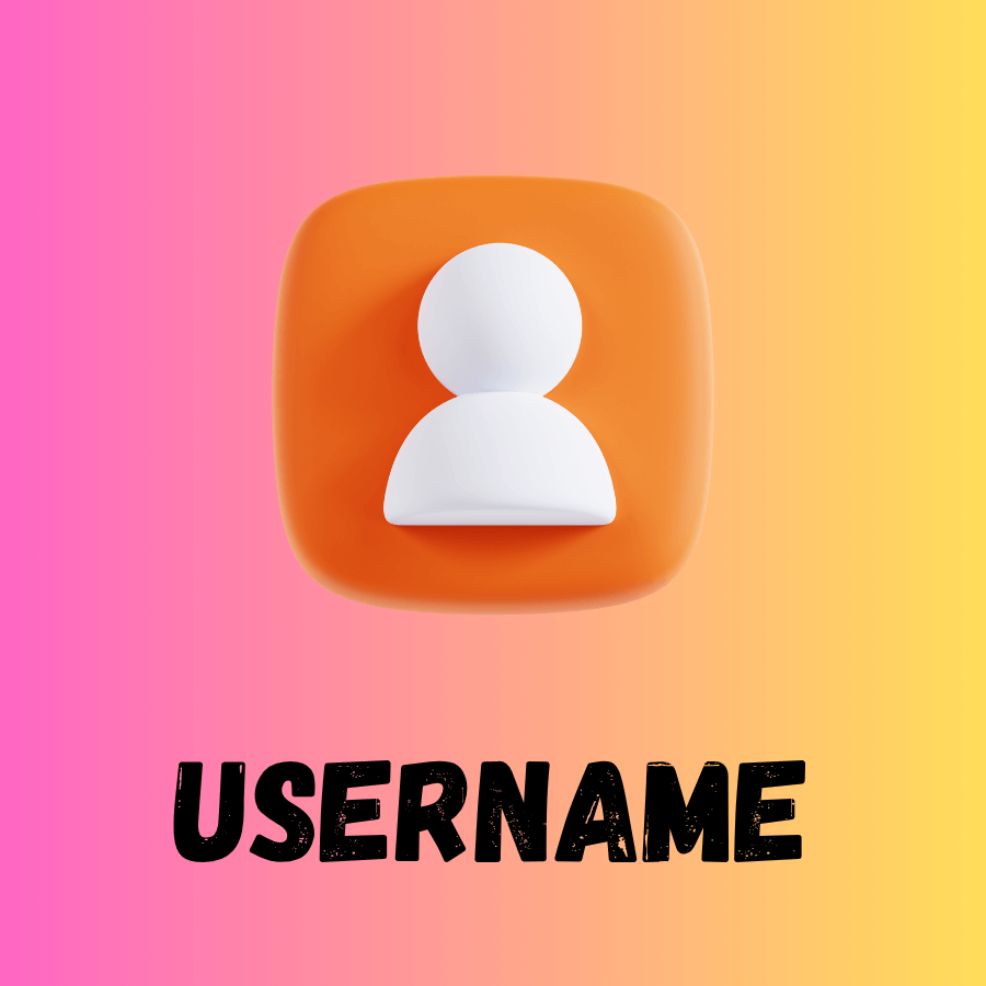Enter Instagram Username