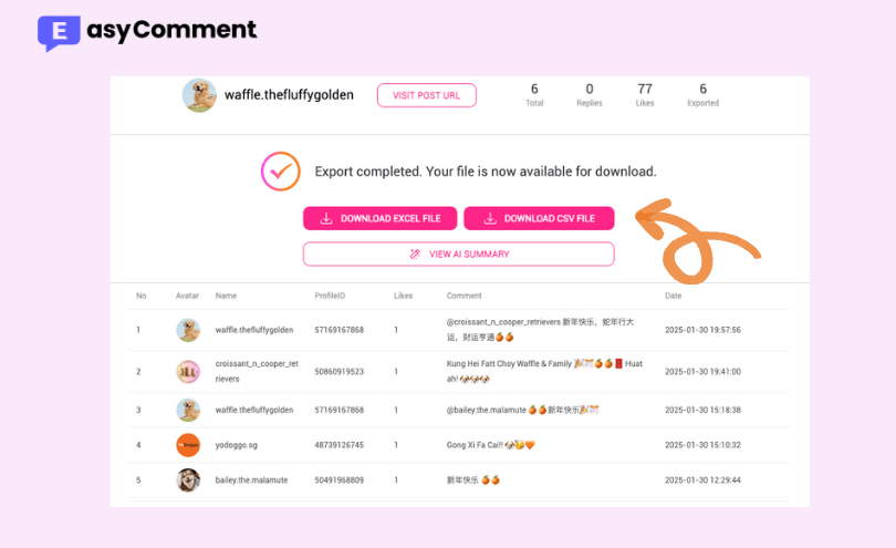 Step 3: Download Data or View AI Analysis - EasyComment